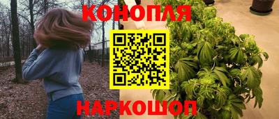 наркотики Будённовск