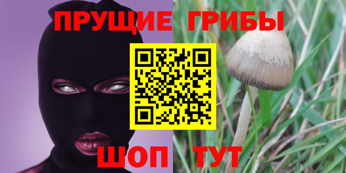 Галлюциногенные грибы Magic Shrooms  Псилоцибиновые грибы Psilocybe  Вход с VPN  Новодвинск 