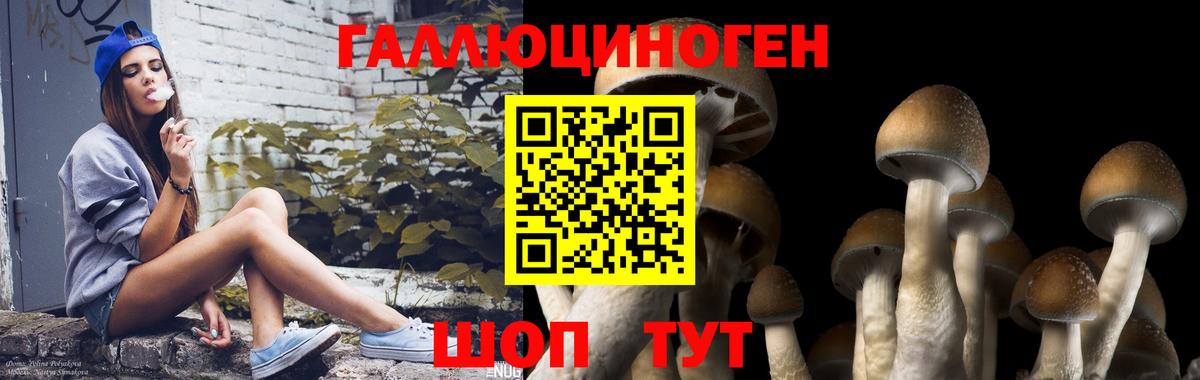 Псилоцибиновые грибы GOLDEN TEACHER Новодвинск